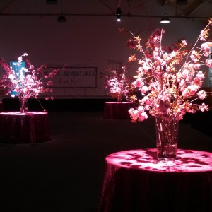 Pools of Light: Academy Arts Event in Easton's armory